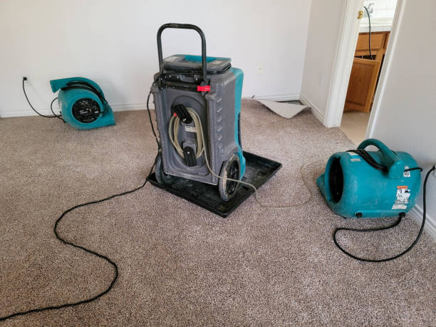 Best Flood restoration services  in Huntington Woods, MI