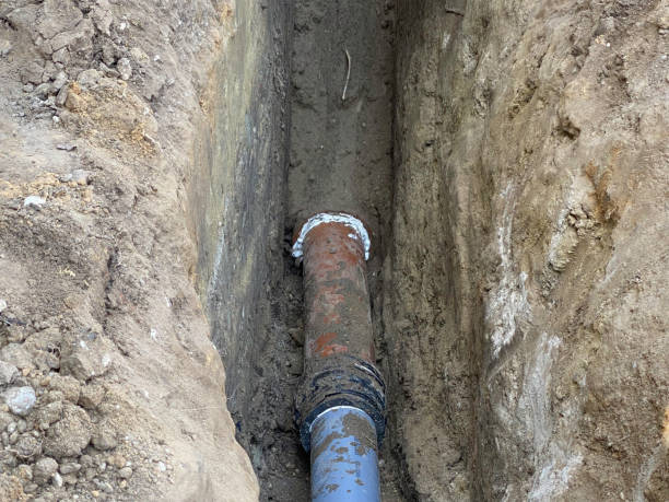 Best 24/7 water damage repair  in Huntington Woods, MI