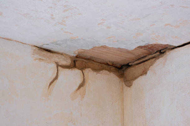 Best Water damage repair service  in Huntington Woods, MI