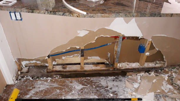 Carpet water damage restoration in MI