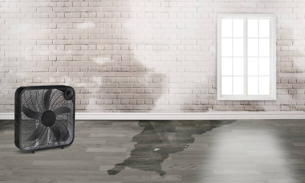 Best Ceiling water damage repair  in Huntington Woods, MI