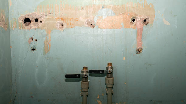 Best Professional water damage repair  in Huntington Woods, MI